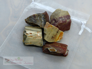 Versteinertes Holz Wassersteine im Organzabeutel  - quintESSENCE Wassersteine - im günstigen 3er Pack